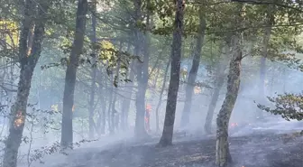 Kırklareli'nde Orman Yangını Kontrol Altına Alındı