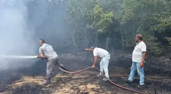 İğneada'da Orman Yangını Kısa Sürede Söndürüldü