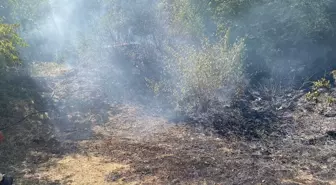 Kırklareli Demirköy'deki Orman Yangını Kısa Sürede Söndürüldü