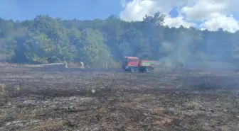 Kırklareli'nde örtü yangını söndürüldü