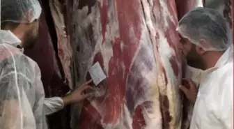 Kırklareli'nde Mezbahalar Hijyen ve Hayvan Refahı Açısından Denetlendi