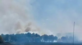 Kırklareli'nde Tarım Arazisinde Yangın