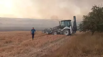 Kırklareli'nde Tarım Arazisinde Yangın, 250 Dekar Alan Zarar Gördü