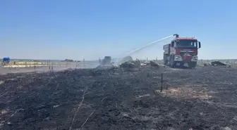 Kırklareli'nde Anız Yangını Ormana Sıçradı