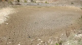 Kırklareli'nde Kuraklık Göletleri Kuruttu