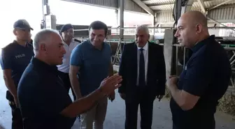 Kırklareli Vali Yardımcısı Hayvancılıkta Destekleri İnceledi