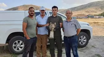 Kırşehir'de Yaralı Yılan Kartalı Tedavi Altına Alındı