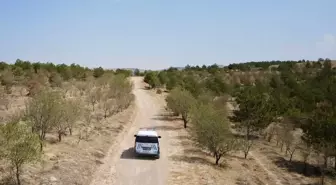 Kırşehir'de Orman Yangınlarına Karşı Denetim