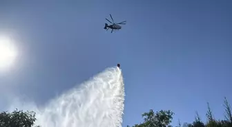 Gebze'de Ağaçlık Alanda Yangın Kontrol Altına Alındı