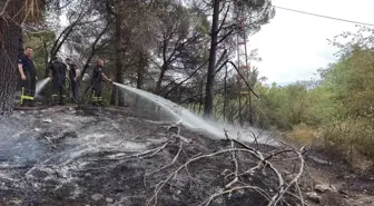 İzmit'te Ağaçlık Alanda Yangın Söndürüldü