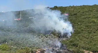 Kocaeli Derince'de Ağaçlık Alanda Yangın Çıktı