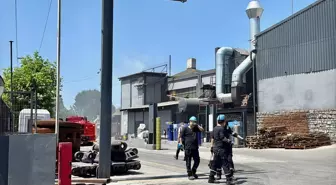 Kocaeli'de Çelik Döküm Fabrikasında Yangın