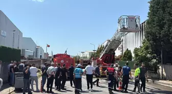 Kocaeli'nde Plastik Varil Üretimi Yapan Fabrikada Yangın