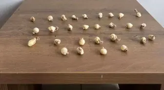 Kocaeli'de Şüpheli Kişinin Midesinden 78 Gram Uyuşturucu Çıktı