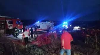Ağaç Kesimi Faciası: 65 Yaşındaki Adam Hayatını Kaybetti