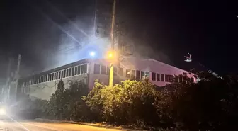 Kocaeli'nde Kompozit Fabrikasında Yangın Çıktı