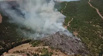 Kocaeli'de Yangın Çıktı