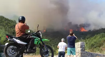 Kocaeli'nin Derince İlçesinde Yangın Çıktı