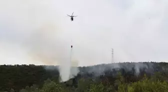 Kocaeli'de Orman Yangını Kontrol Altına Alındı