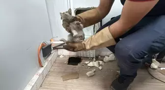 Kocaeli'de Itfaiye Ekipleri Sıkışan Kedi Yavrusunu Kurtardı