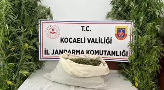 Kocaeli'de Uyuşturucu Operasyonunda 2 Tutuklama