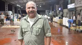 Karamürsel'de Balık Mezadında İlk Sezon Coşkusu
