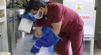 Kocaeli Üniversitesi Kemik İliği Nakil Merkezi: Bölgenin Öncü Sağlık Kuruluşu