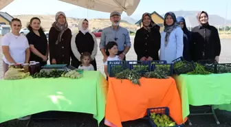 Kocasinan'da Kadın Girişimcilerden Organik Sebze Hasadı