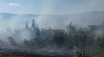 Konya'nın Hüyük İlçesinde Yangın Kontrol Altına Alındı