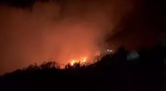 Konya'da Orman Yangınına Hava ve Karadan Müdahale