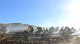 Konya'da Orman Yangını Kısa Sürede Söndürüldü