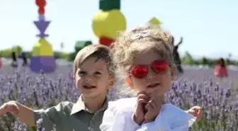 Karatay'da Lavanta Festivali Coşkuyla Kutlandı