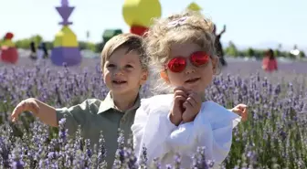 Karatay'da Lavanta Festivali Coşkuyla Kutlandı