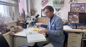 Yeni Keşfedilen Bitki Türü: Konya Sümbülü