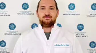 NEÜ'den Kemik Onarımında Devrim Niteliğinde Proje