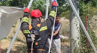 Konya'da Kuyuya Düşen Keçi İtfaiye Ekiplerince Kurtarıldı