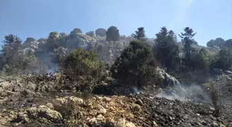 Konya'nın Beyşehir ilçesinde yangın söndürüldü