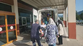 Yılan Isırdı; Pikniğe Giden Adam Hastaneye Kaldırıldı
