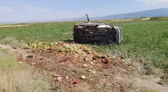 Karpuz Yüklü Kamyonet Devrildi: 3 Yaralı