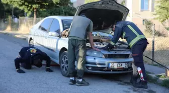 Köpeklerden Kaçan Su Samuru, Otomobilin Kaputuna Sığındı