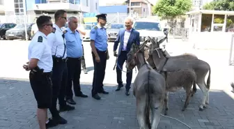 Kosovalı Aktivist, Siyasi Parti Protestosu İçin Eşek Getirdi