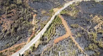 Muğla Köyceğiz'de Orman Yangını Havadan Görüntülendi