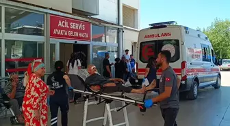 Kozan'da Ağaç Budarken Düşen Personel Hastaneye Kaldırıldı
