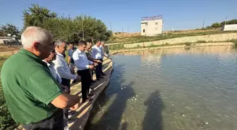 Kozluk Kaymakamı Böçkün, Köylerde Yatırım İncelemesi Yaptı