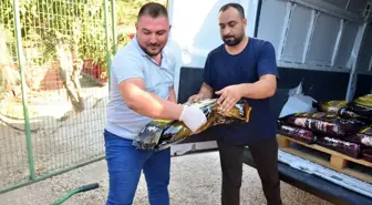 Zafer Kupası Takımı, Ödülünü Sokak Hayvanları İçin Bağışladı