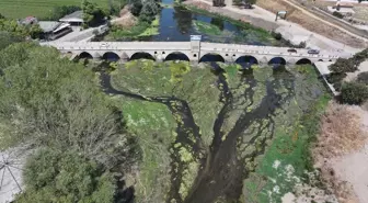 Edirne'nin Tunca Nehri'nde Kuraklık Sorunu