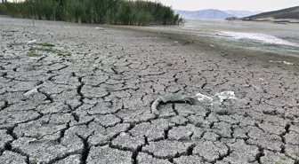 Isparta'daki Mada Adası Kuraklıkla Mücadele Ediyor