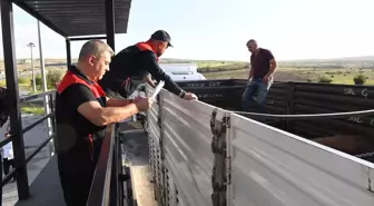 Kurban Bayramı İçin Veteriner Denetimleri 24 Saat Kesintisiz Devam Ediyor