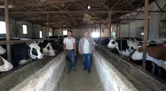 Kurban Bayramı Öncesi Hayvan Alımında Dikkat Edilmesi Gerekenler