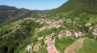 Küre Dağları Milli Parkı'nda İlkbahar Güzelliği